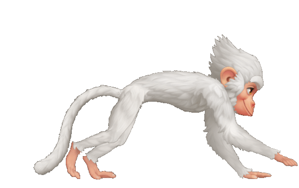 Monkey